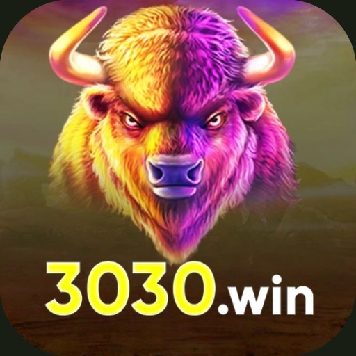 3030win logo