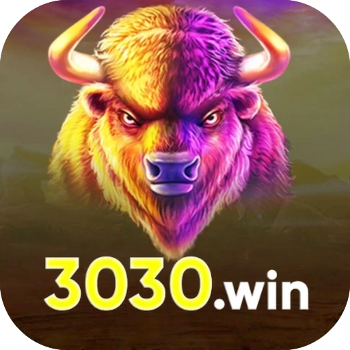 3030win logo